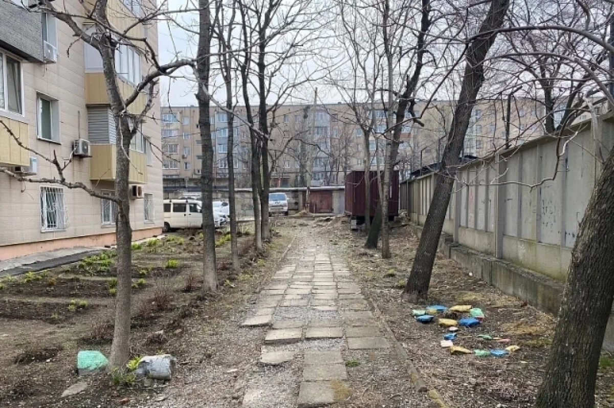    Власти Владивостока расследуют порчу деревьев неизвестным вредителем