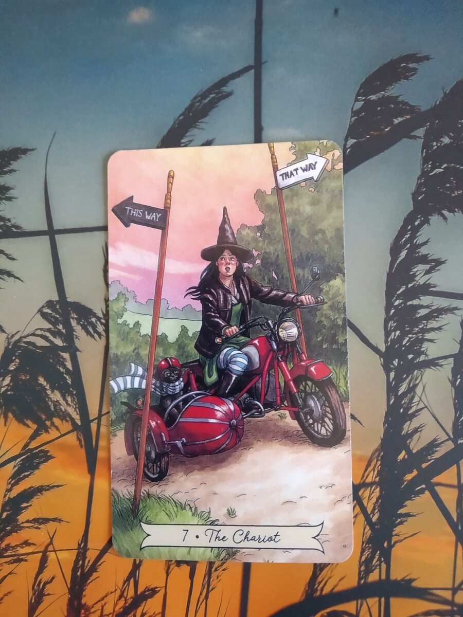 Колесница Таро Повседневной Ведьмы