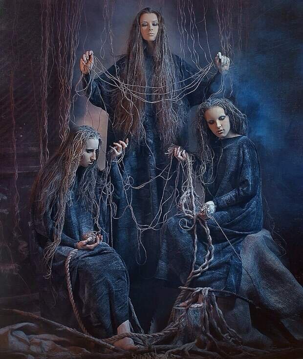 Яндекс картинки