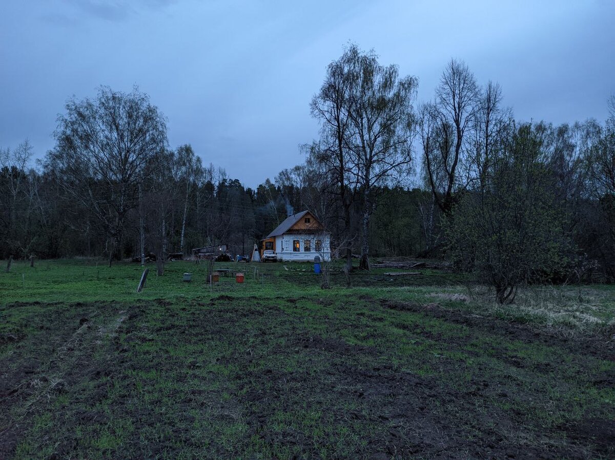 Делаем старый-новый сад ещё лучше. Прикасаемся к архивным документам и  семейной истории | Вятский Хутор | Дзен