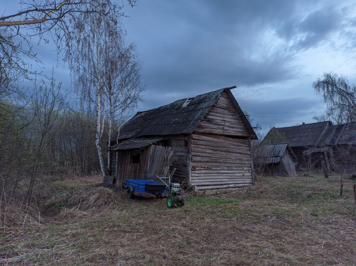 Делаем старый-новый сад ещё лучше. Прикасаемся к архивным документам и  семейной истории | Вятский Хутор | Дзен