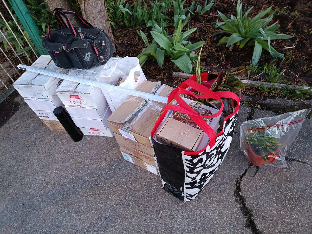 Излишки коллекции по коробкам, термос, растения для СВОПа и в путь!