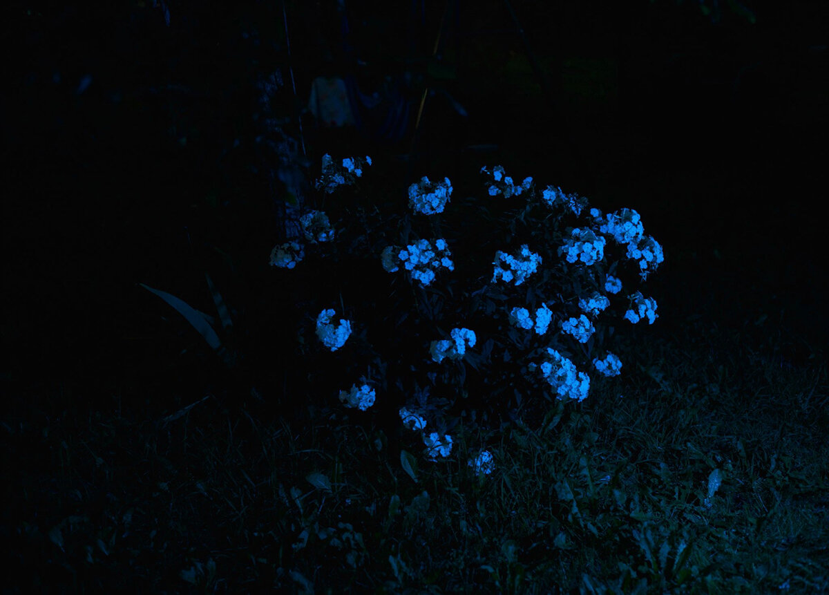 Деревня Истинка Ленинградской области Фото: Марина Кузьмина