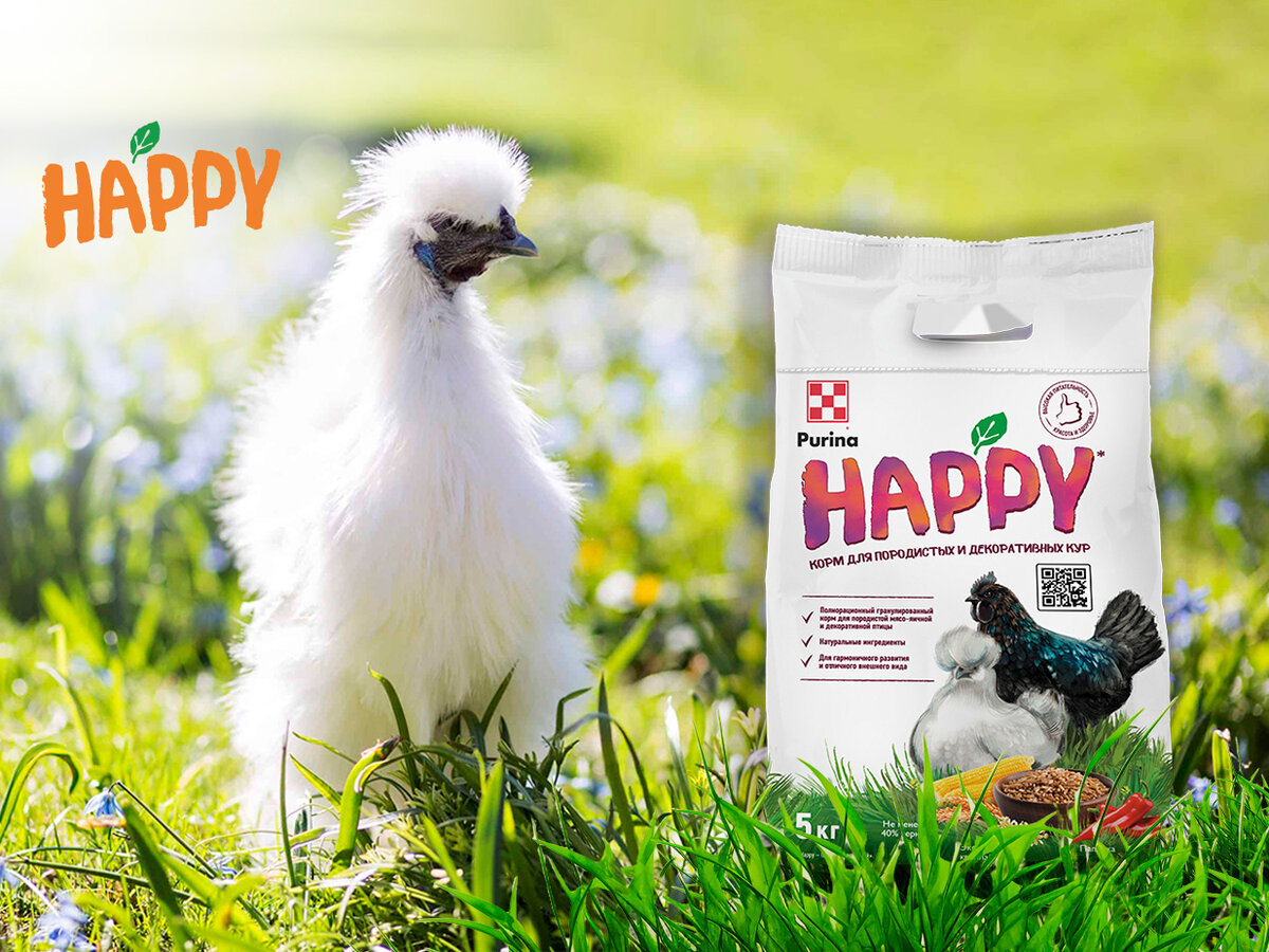 Новинка Purina® HAPPY: специализированный корм для породистых и  декоративных кур, а также для родительских стад в период размножения |  Здоровая еда — счастливая семья | Дзен