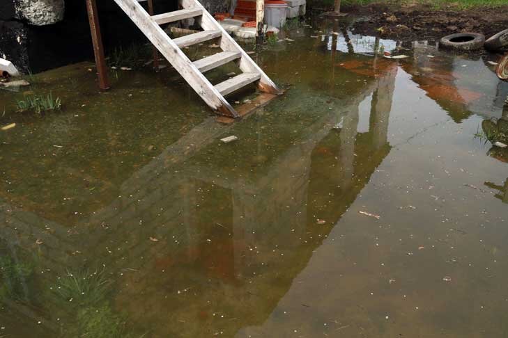    Фото Алексея Танюшина из архива VN.ru.