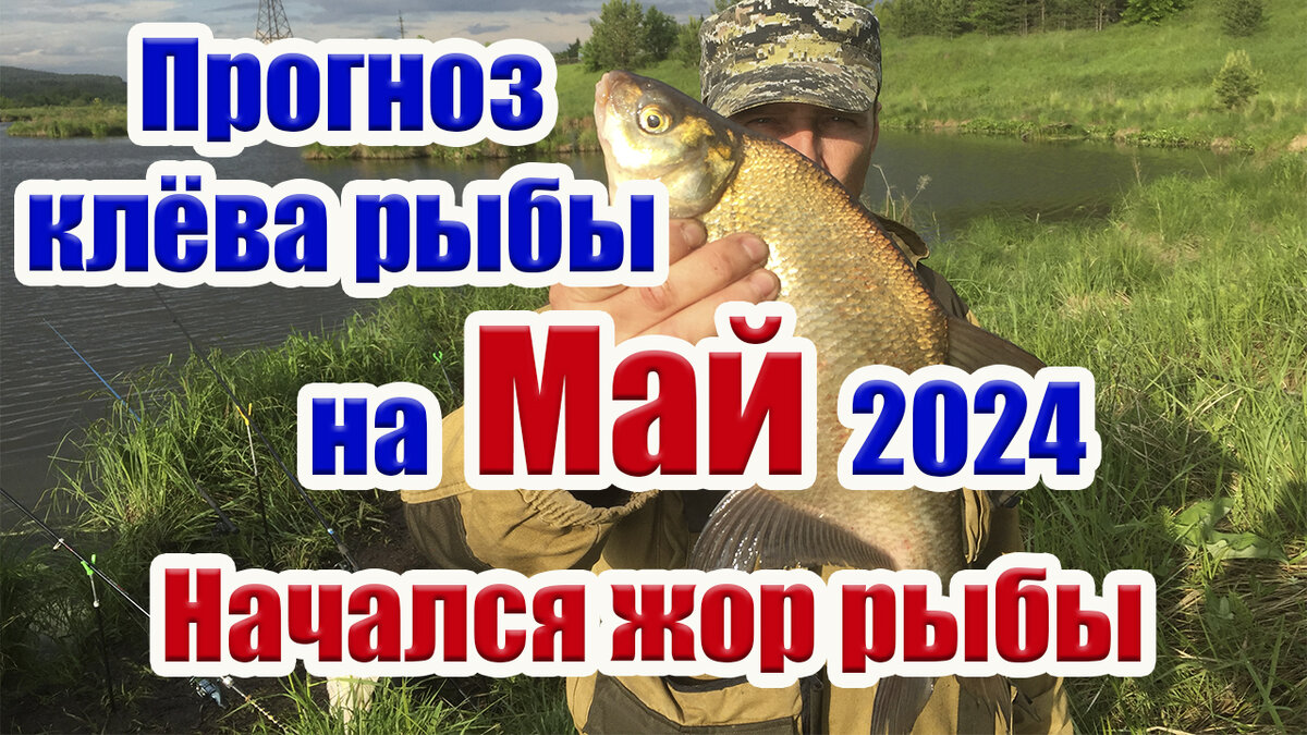 фото автора Рыбалка SNS Fishing