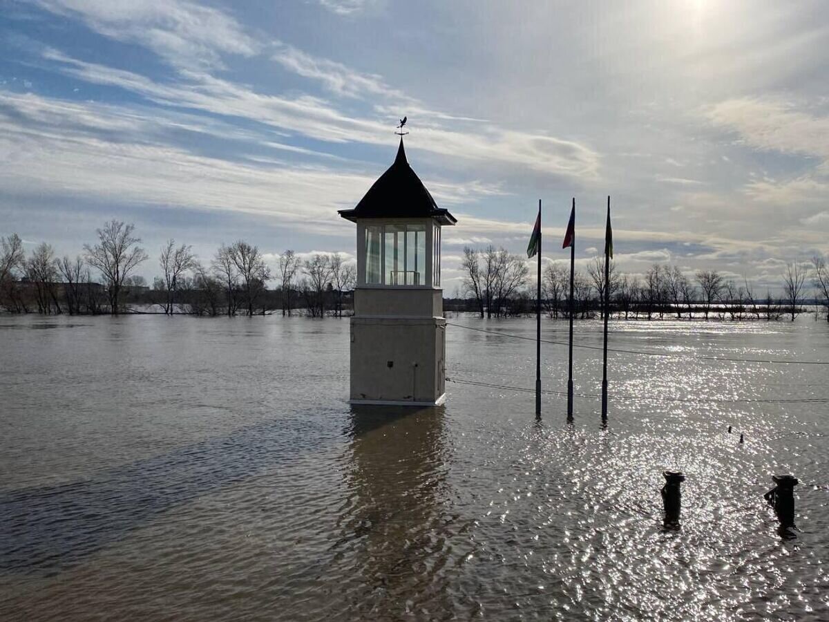    Река Ишим в Тюменской области© РИА Новости