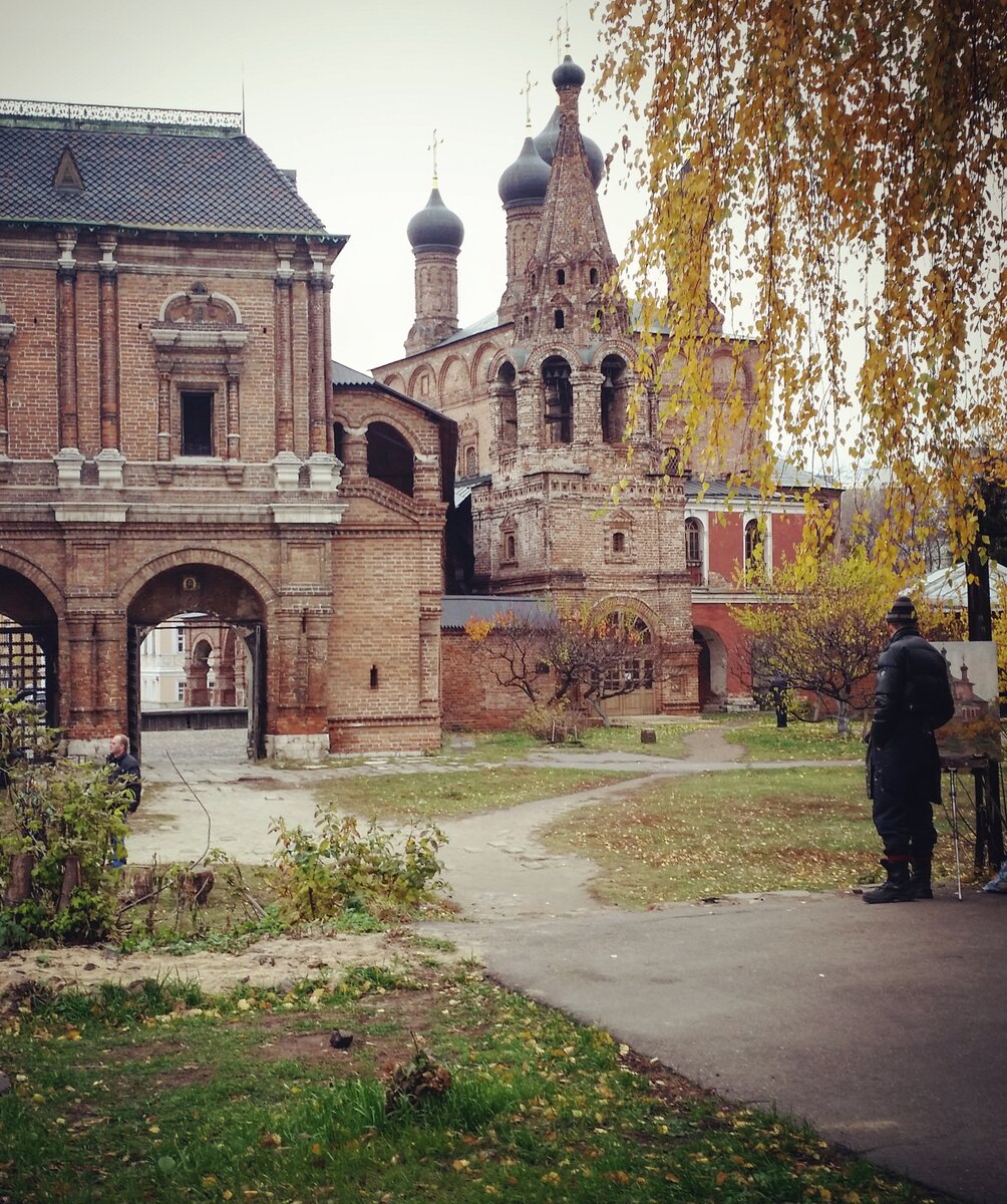 Справа от ворот уже сбросившие листву абрикосы