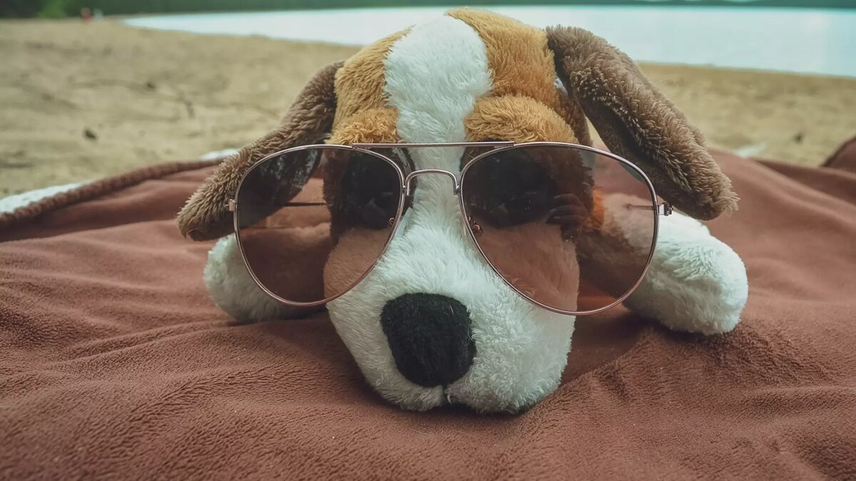     Источник: 1MI