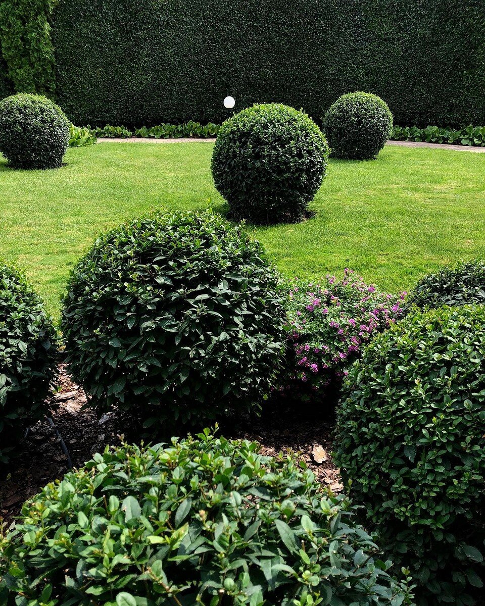    Соцсети блогера ekaterinamilman9