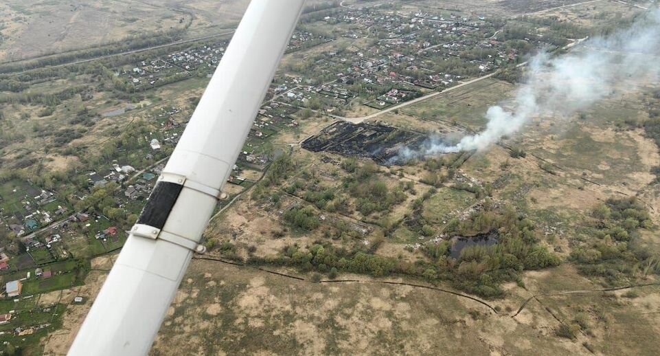    Комитет лесного хозяйства Московской области