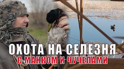 ВЕСНОВКА! ПРЕКРАСНО ПРОВЁЛ ОХОТУ, УСПОКОИЛ ДУШУ.