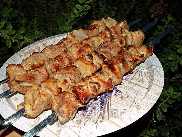Шашлыки на майские праздники из разного мяса (большая подборка)