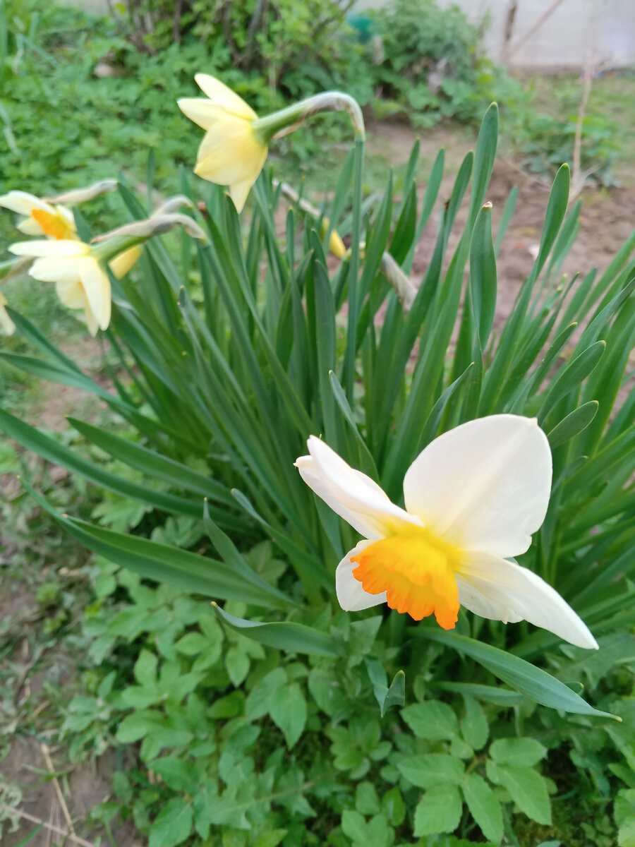 Фото автора.