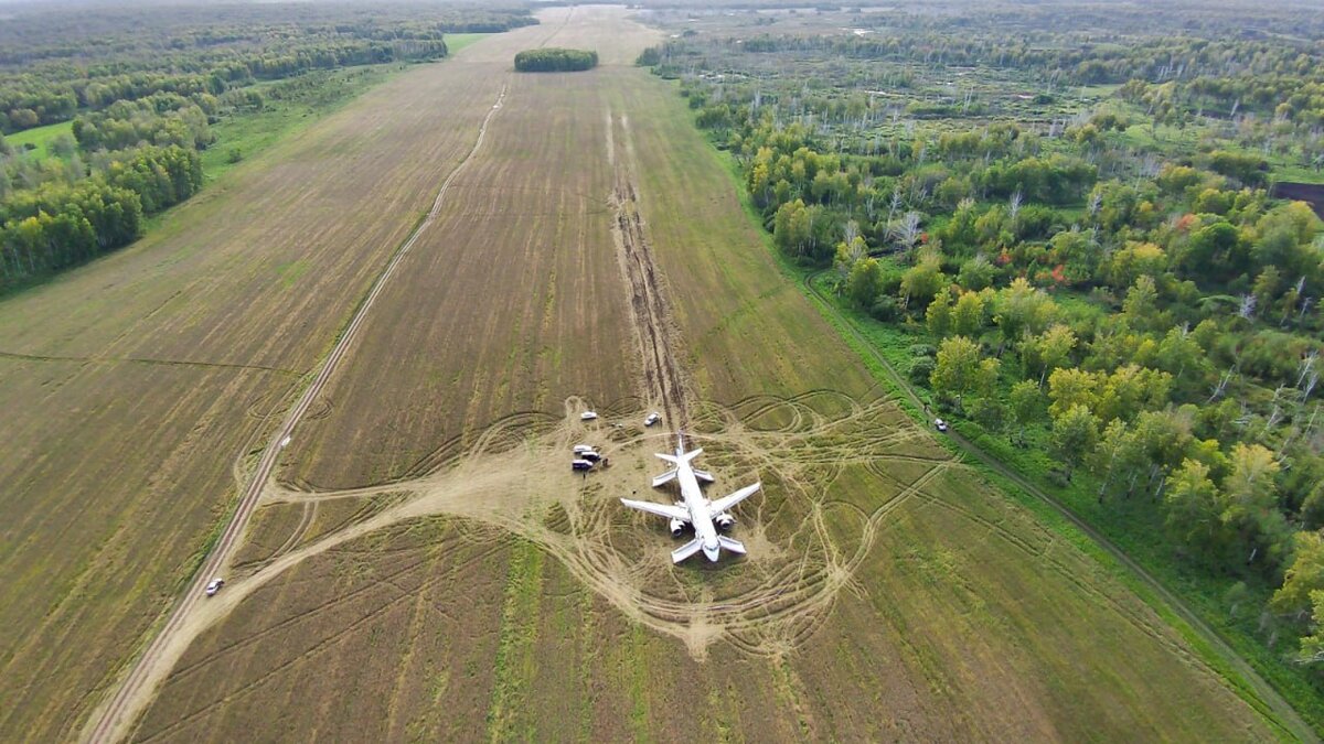 Пассажиры самолета в поле