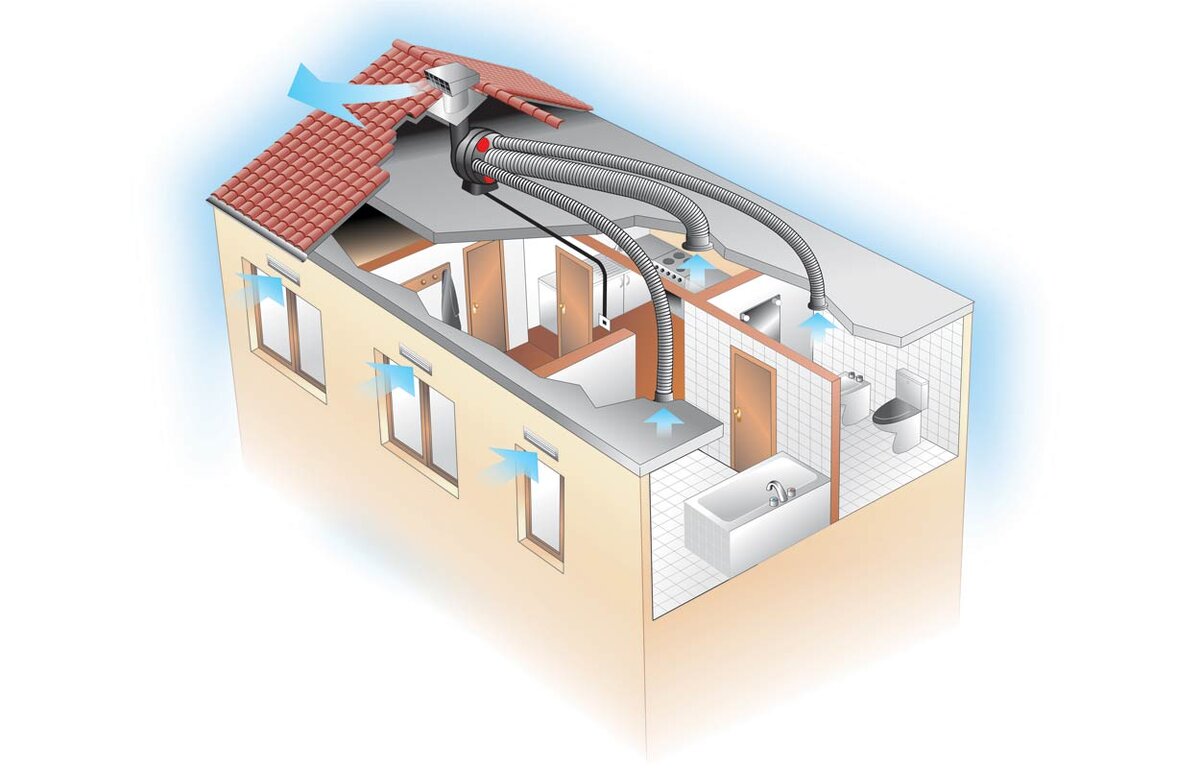 Для чего нужна Центральная вентиляция ? | Воздуховоды и компоненты для  систем вентиляции AДС | Дзен