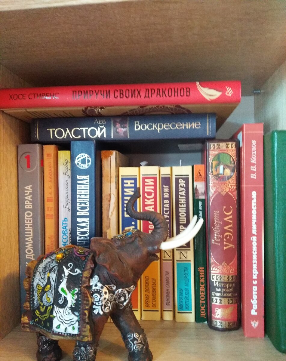 Полка в шкафу. Таких у меня три с книгами. Остальное на электронных носителях. 