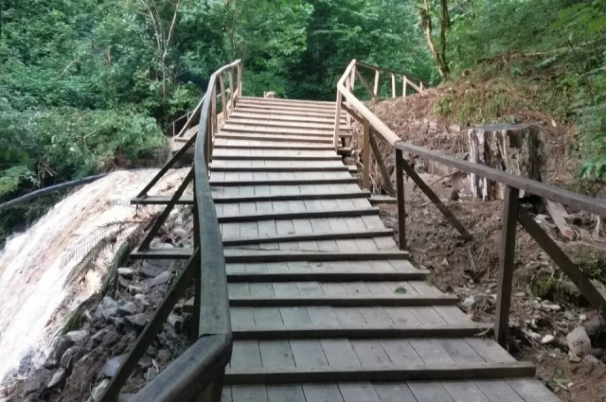    В 2024 году объекты Сочинского нацпарка посетили 270 тысяч гостей