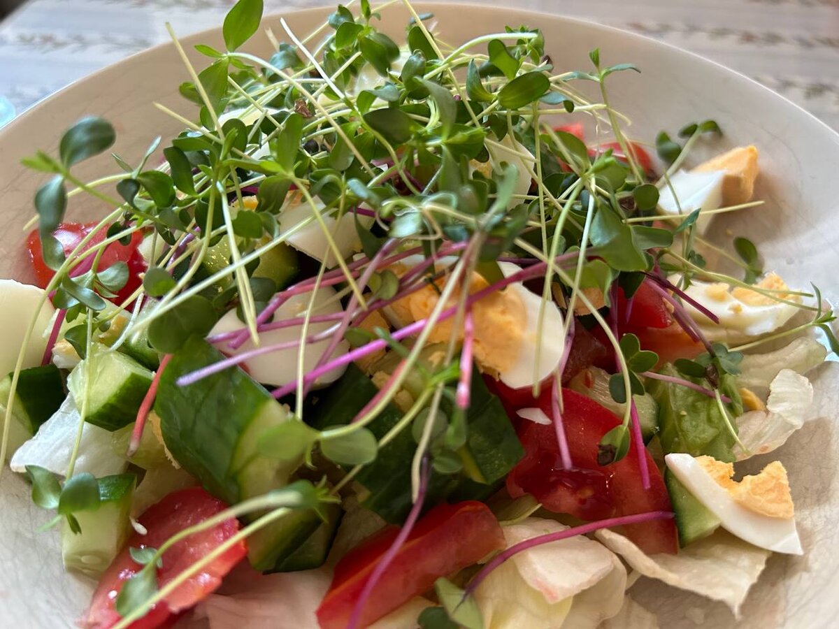 Овощной салат, микрозелень льна.