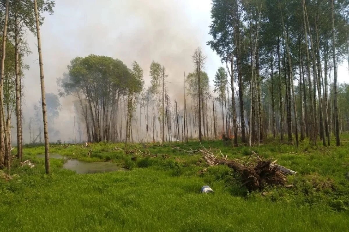    Один лесной пожар ликвидировали в Томской области