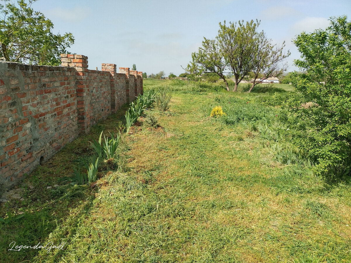 Это слева, дорожку прокосила всю