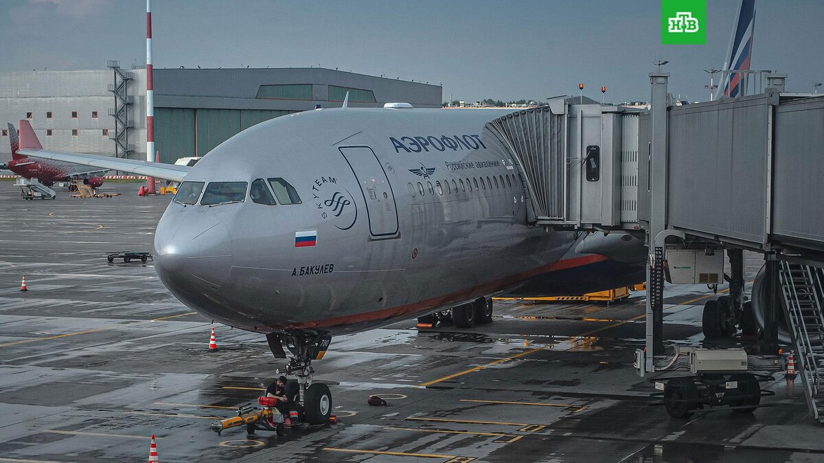    Фото: Egor Myznik / unsplash.com