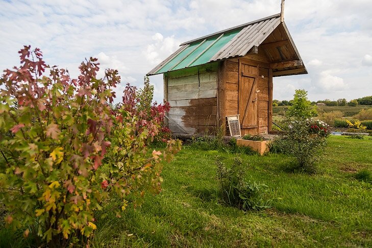    Фото Андрея Заржецкого