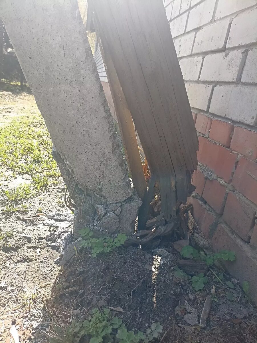     Источник: vk.com/tekslerpomogi