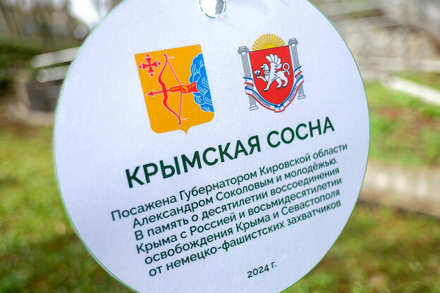    В Кирове высадили крымскую сосну