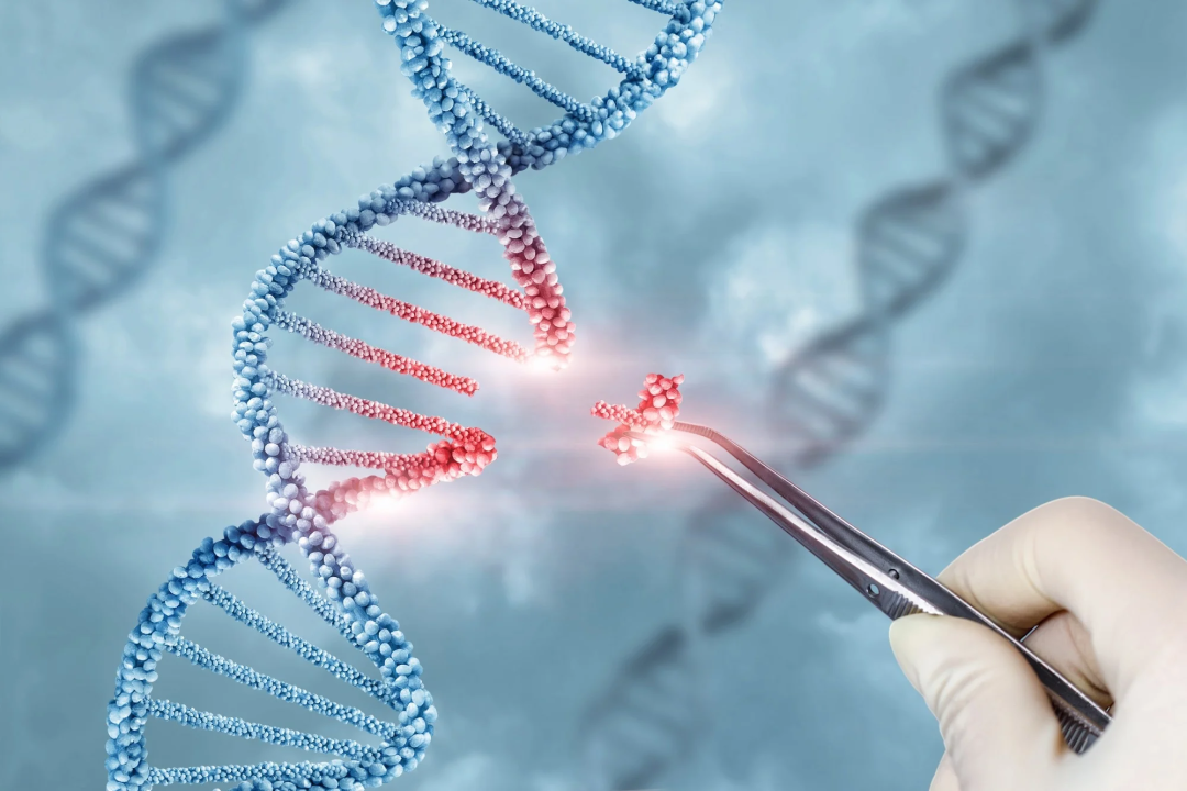 Учёные создали высокопроизводительный ИИ-редактор ДНК человека и начали раздавать к нему доступ всем желающим