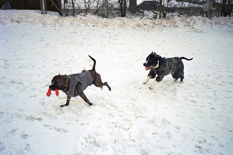 Фото из личного архива автора