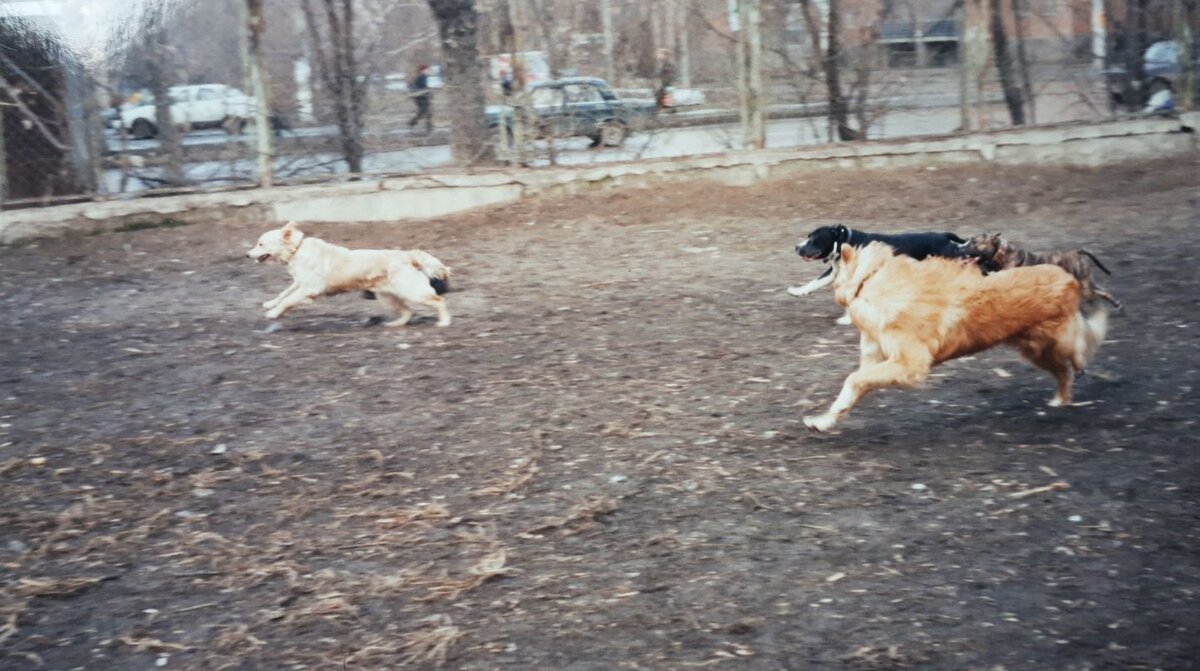 Фото из личного архива автора