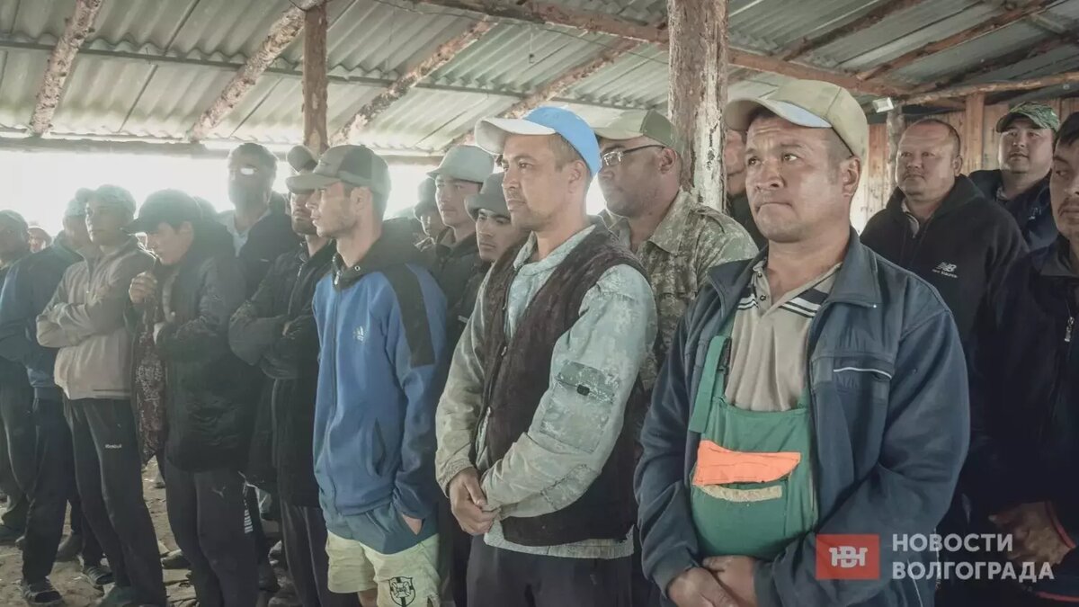     Источник: novostivolgograda.ru