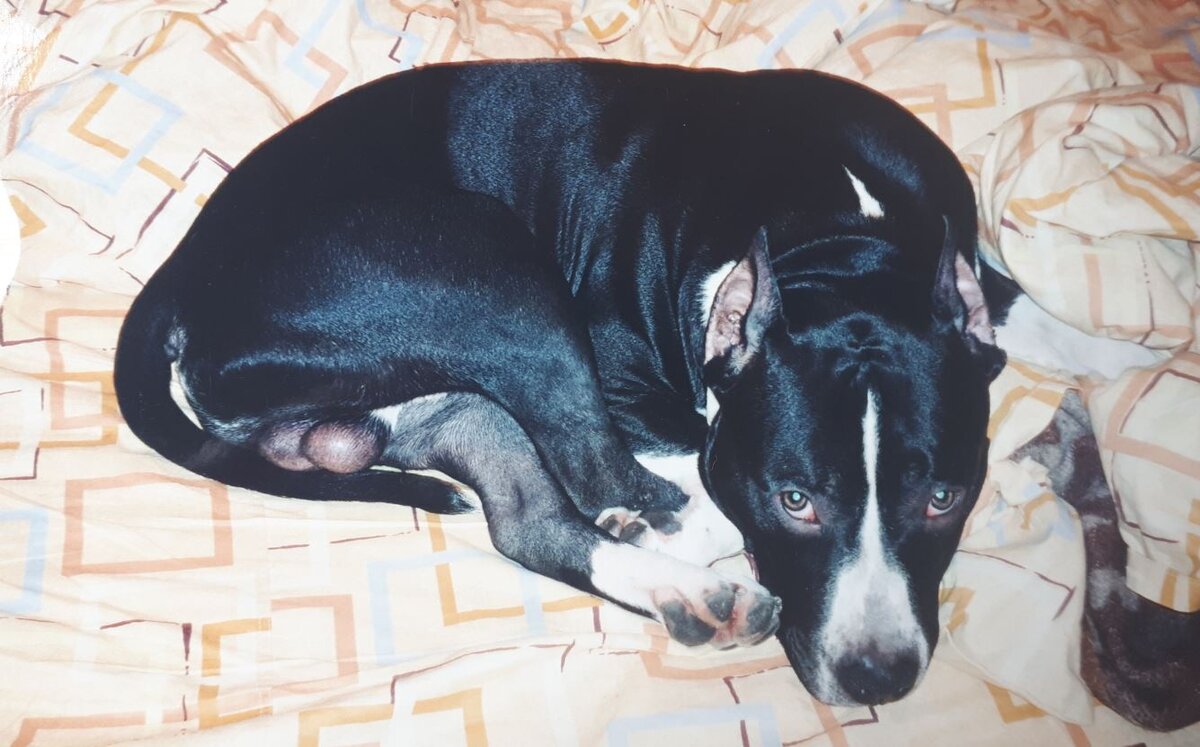 Фото из личного архива автора