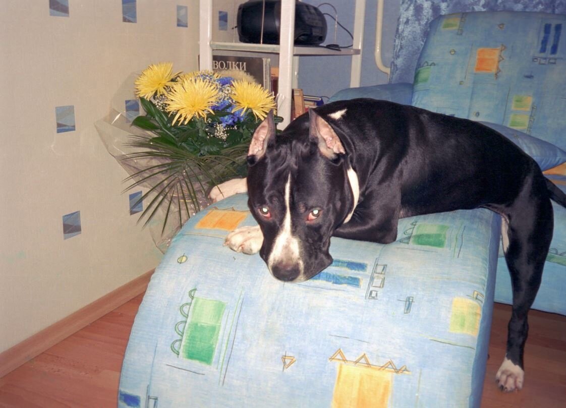 Фото из личного архива автора