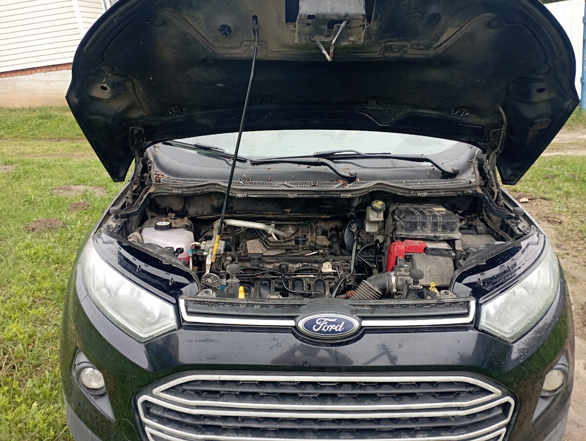 Мой "Феденька"