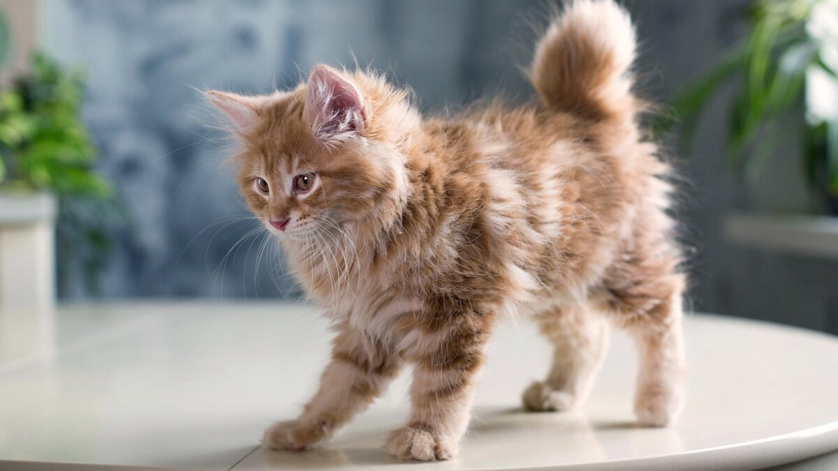    mariya zh / Shutterstock / FOTODOM