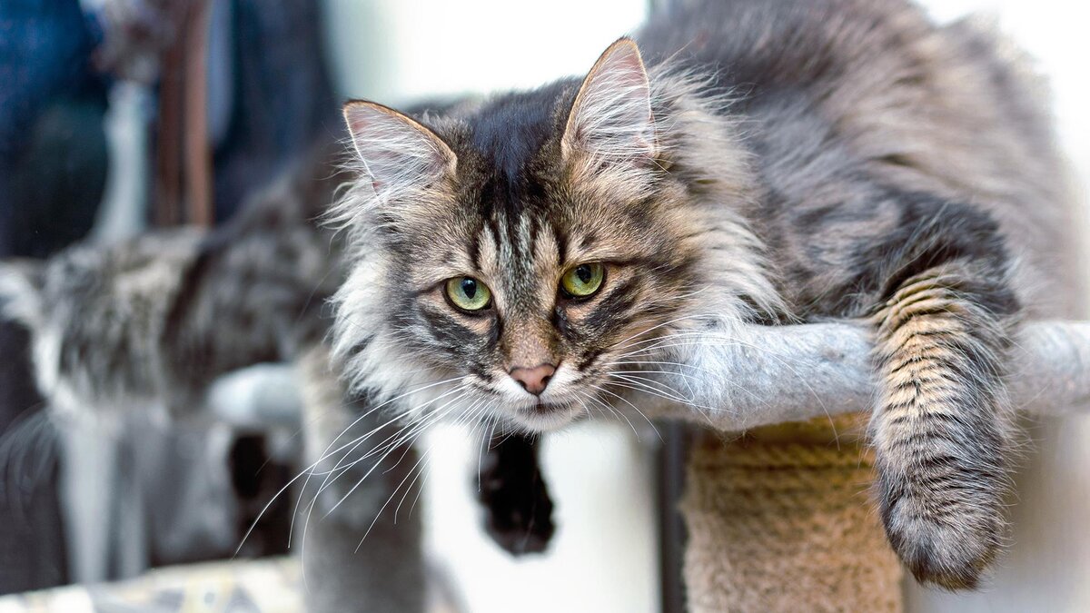    Gansstock / Shutterstock / FOTODOM