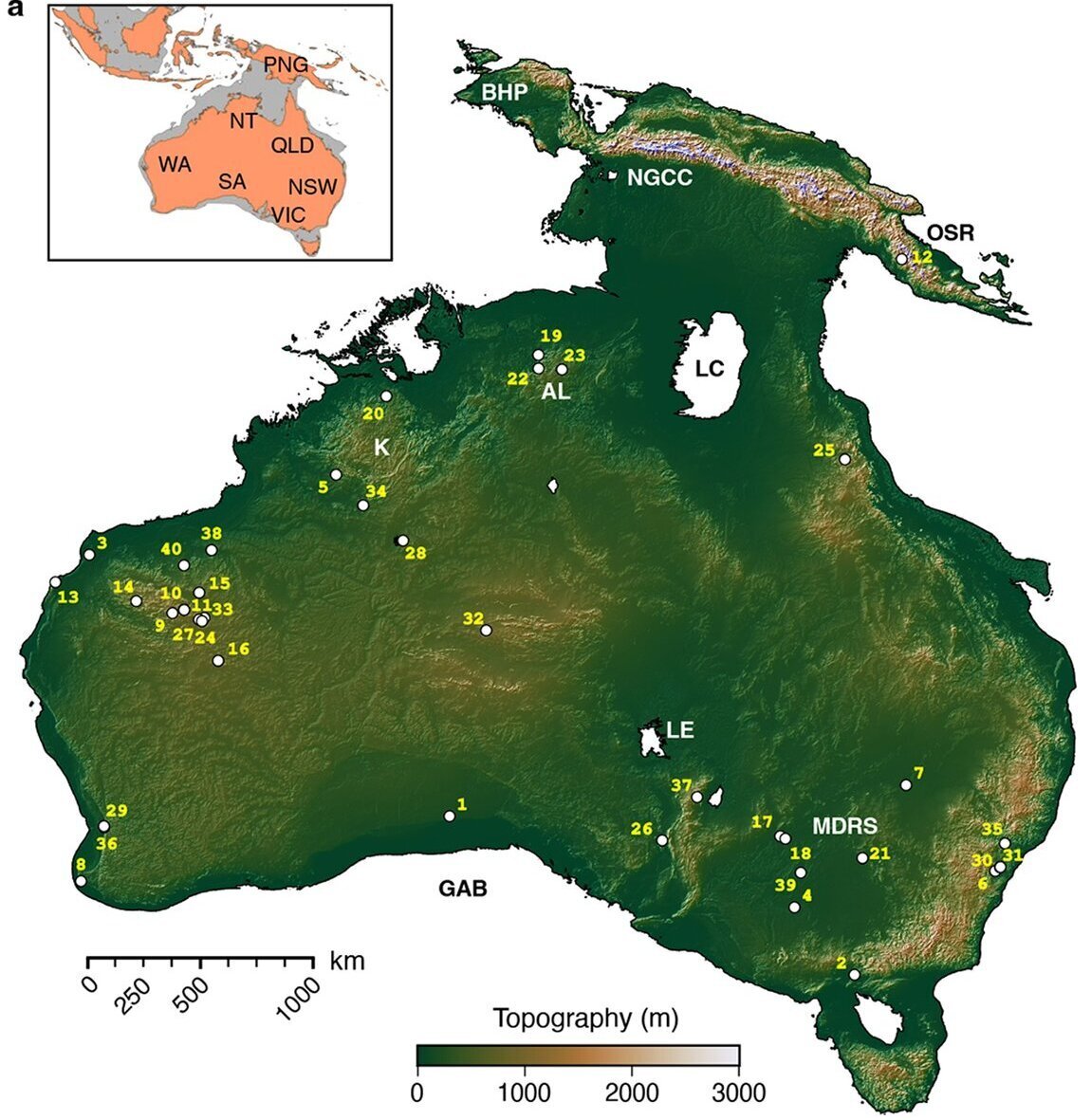     Фото: Tristan Salles et al./Nature Communications, 2024