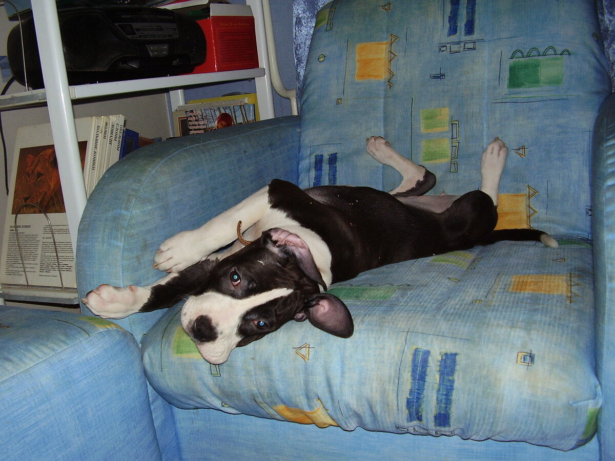 Фото из личного архива автора