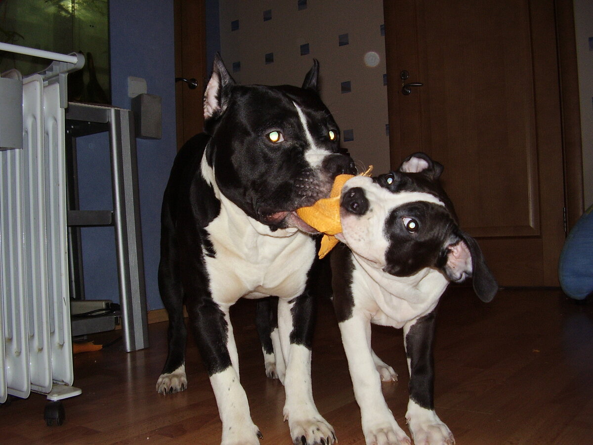 Фото из личного архива автора