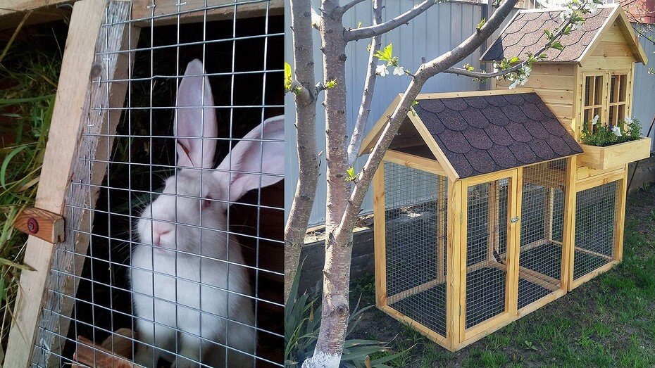 Соцсети блогера kilin_1001 (слева). Соцсети блогера блогера multya (справа) 