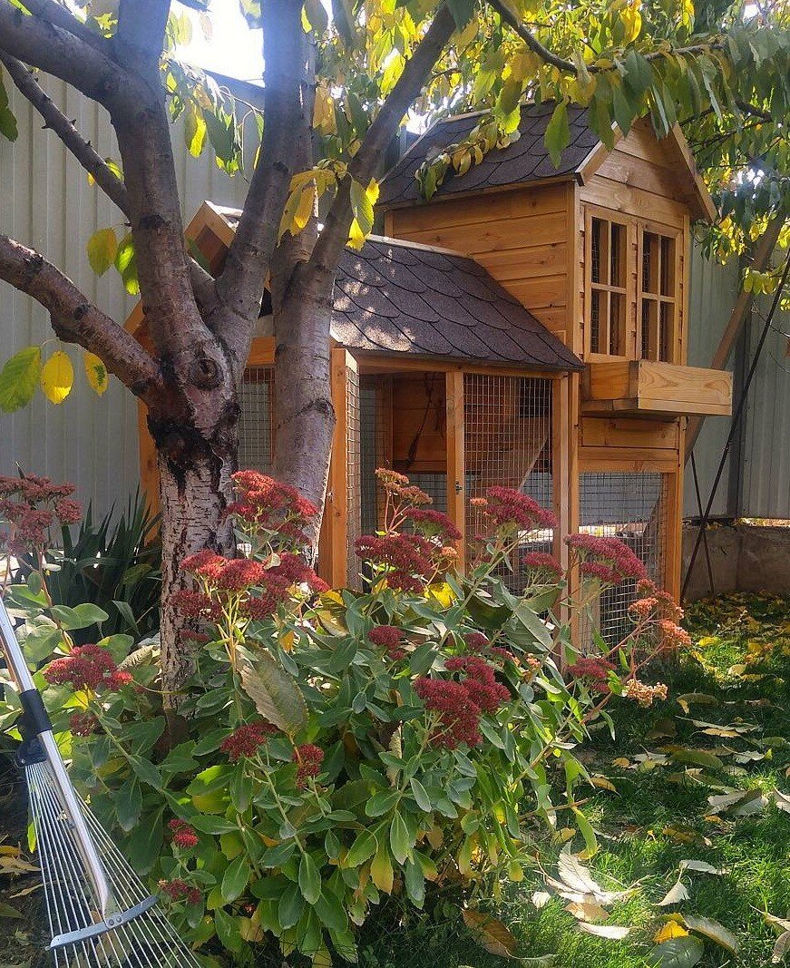    Соцсети блогера multya