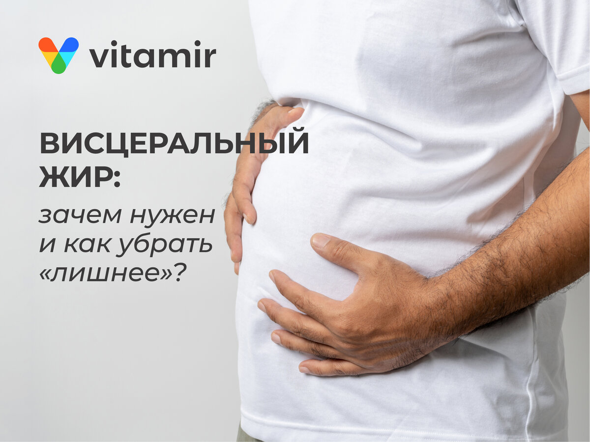 Висцеральный жир: зачем нужен и как убрать «лишнее» | Vitamir | Дзен