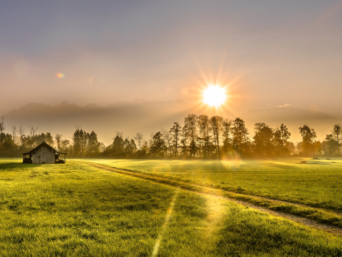 Красота - страшная сила!