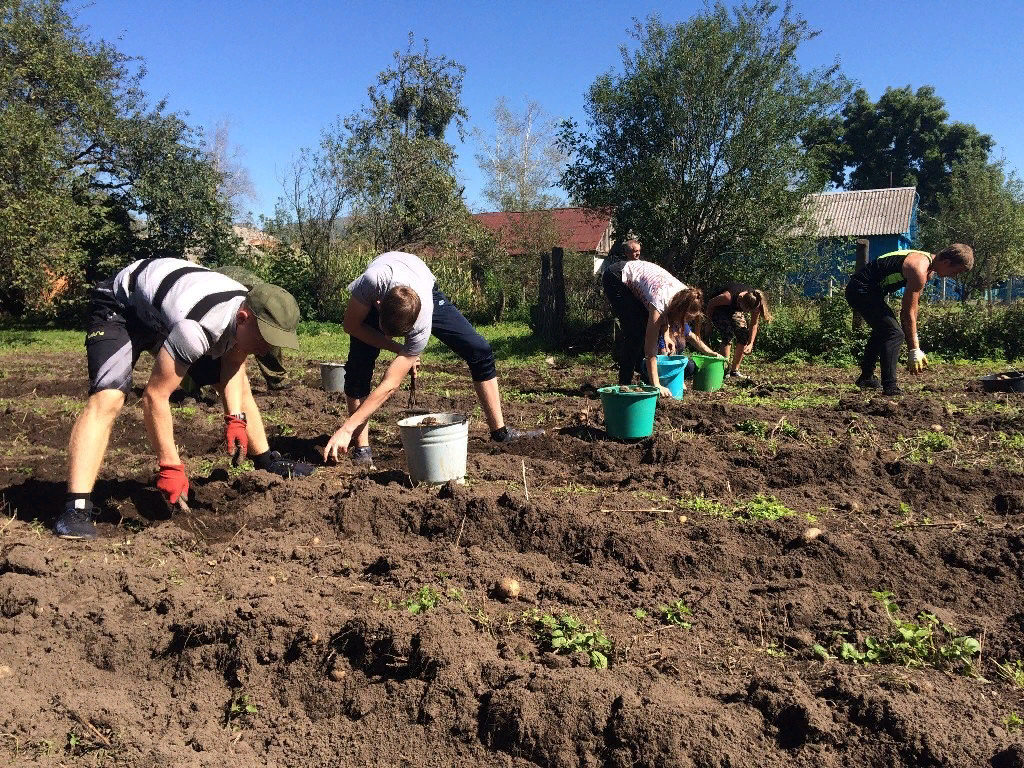 На даче всегда есть чем заняться!