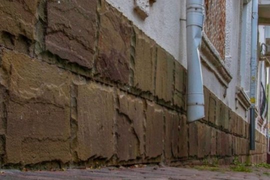    Новороссийский фотограф опубликовал снимок грибов в сети.