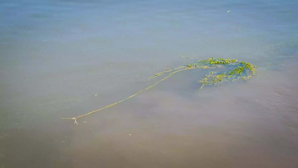 На Ириклинском водохранилище в Оренбуржье сбрасывают воды больше, чем  прибывает | 56orb.ru | Дзен