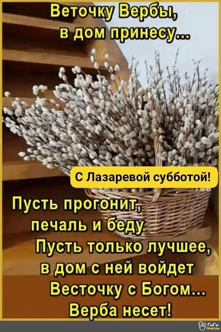 Ключ к снижению веса. Меню одного дня. | Светлана на ПП. Жизнь после  похудения. | Дзен