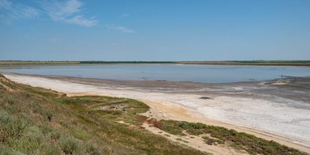 Фото: Kulikov Vitalii / Shutterstock